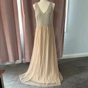 Adrianna Papell Silver Cream Embellished Maxi Gown
